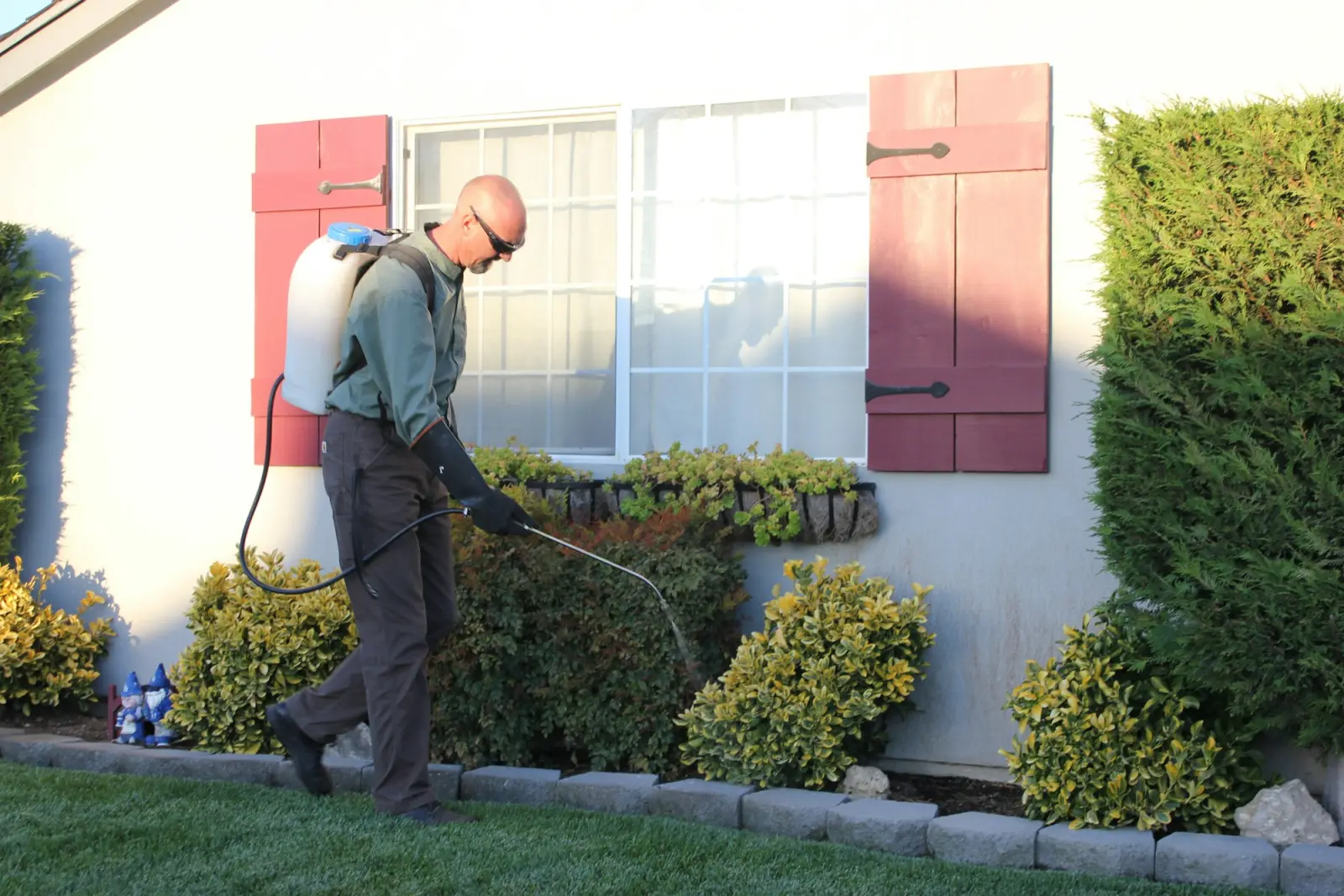 A pest control technician treating the perimeter of a house